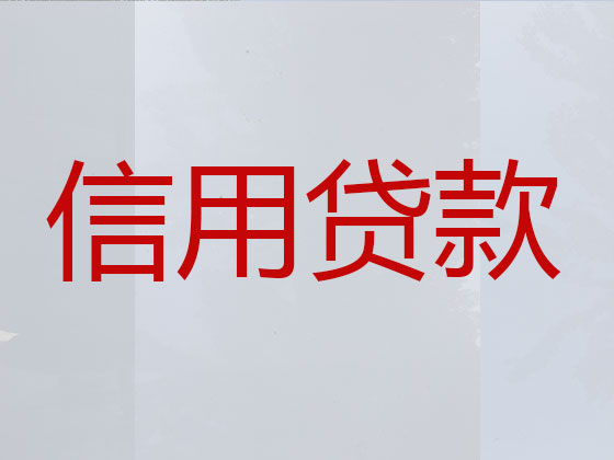 阿克苏贷款公司
